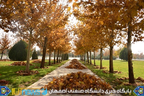 زیبایی های پاییز 1393 در دانشگاه صنعتی اصفهان 