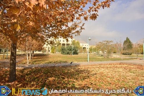 زیبایی های پاییز 1393 در دانشگاه صنعتی اصفهان 
