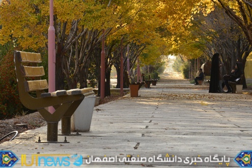 زیبایی های پاییز 1393 در دانشگاه صنعتی اصفهان 
