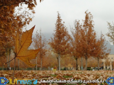 زیبایی های پاییز 1393 در دانشگاه صنعتی اصفهان 