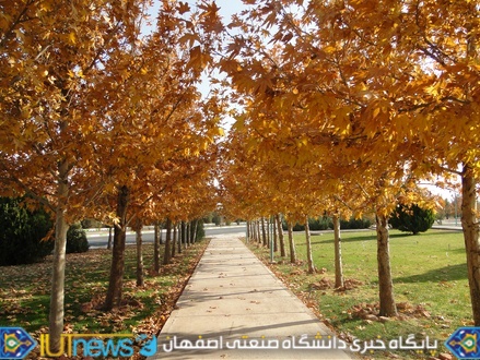 زیبایی های پاییز 1393 در دانشگاه صنعتی اصفهان 