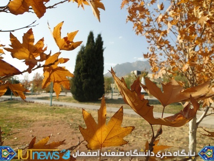 زیبایی های پاییز 1393 در دانشگاه صنعتی اصفهان 