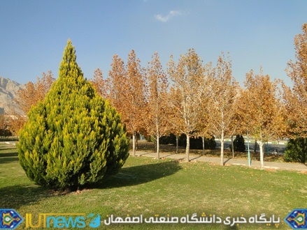 زیبایی های پاییز 1393 در دانشگاه صنعتی اصفهان 