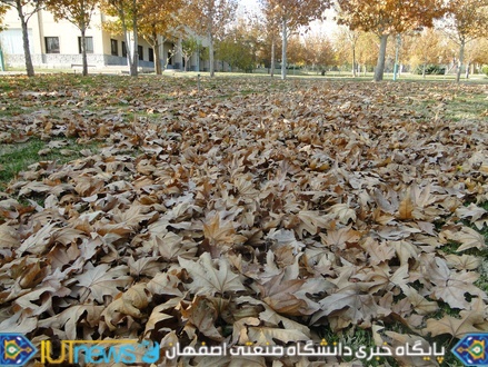 زیبایی های پاییز 1393 در دانشگاه صنعتی اصفهان 