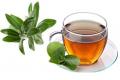 تولید چای رژیمی حاوی گیاه کارلا و برگ زیتون برای نخستین باردردانشگاه صنعتی اصفهان