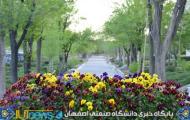 طبیعت بهاری دانشگاه صنعتی اصفهان(عکس ها از مسلم شاه محمدی)